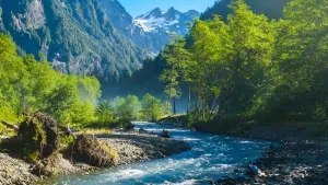 Olympic National Park